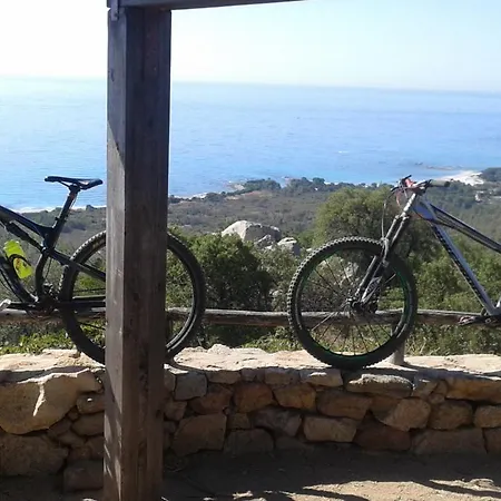 Oroseinbike ホームステイ *